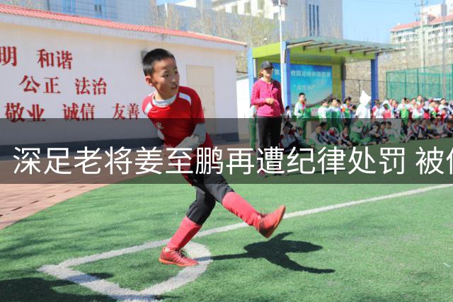 深足老将姜至鹏再遭纪律处罚 被停止一线队训练比赛